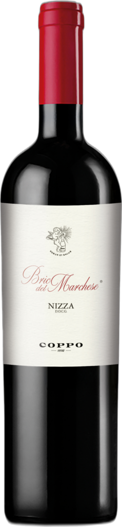 Nizza DOCG “Bric del Marchese” 2021