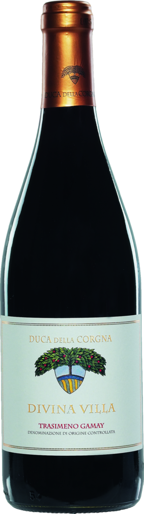 Trasimeno Gamay DOC "Divina Villa Etichetta Bianca" 2022
