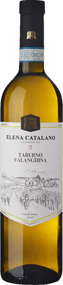 Falanghina del Sannio DOC 2022