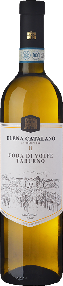 Elena Catalano – Sannio Coda di Volpe  DOC 2022