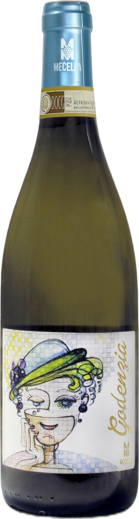Verdicchio di Matelica Riserva DOCG Riserva “Godenzia” 2023