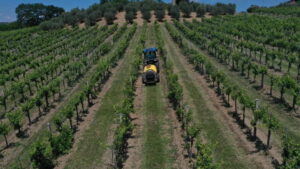 Family Farm Gobbi