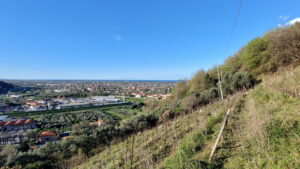 Giardini Ripadiversilia