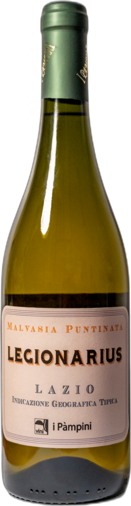 Lazio IGT Malvasia Puntinata “LEGIONARIUS” 2023