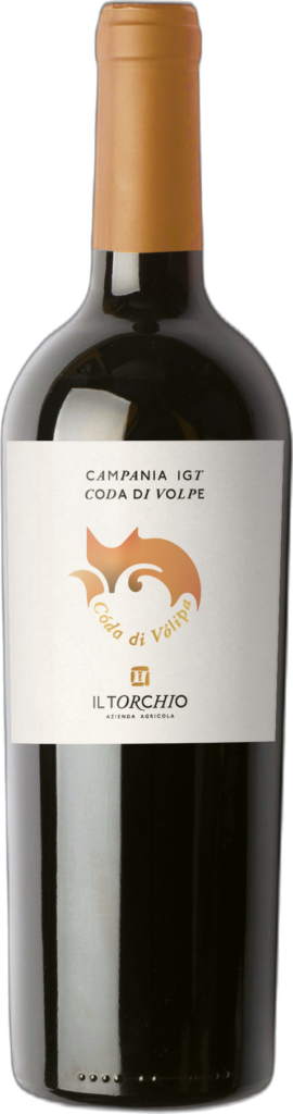Il Torchio – Campania IGT Coda di Volpe “Coda di Volipa” 2024