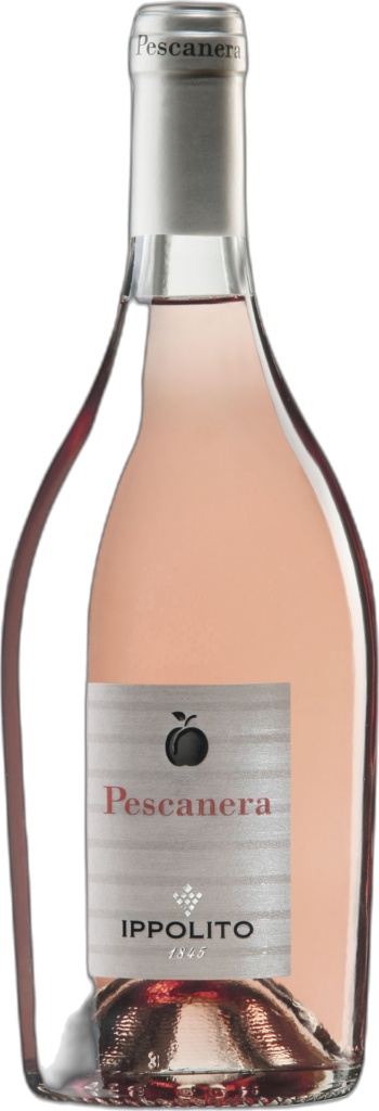 Ippolito 1845 – Calabria IGT Rosè “Pescanera” 2025