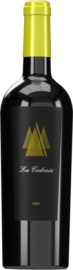 La Cedraia – Gavi DOCG “La Cedraia” 2022