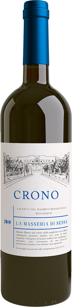 Falerno del Massico DOC Falanghina "Crono" 2020