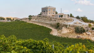 Lombardo Vini
