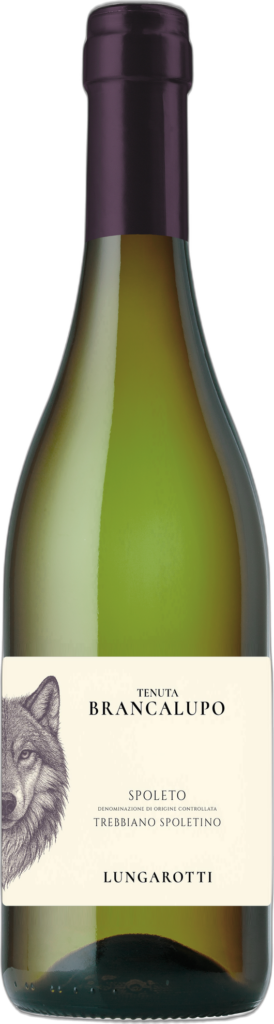 Lungarotti – Spoleto DOC Trebbiano – Tenuta Brancalupo 2024