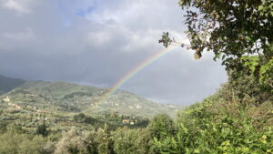Malgiacca
