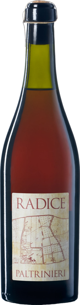 Lambrusco di Sorbara DOC Frizzante "Radice" 2022