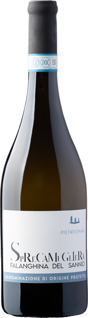 Falanghina del Sannio DOC "Sprecamugliera" 2021