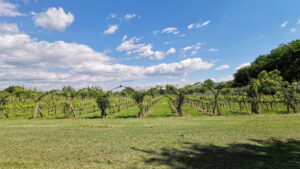 Podere I Chiostri