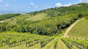 Poggio dell’Aquila