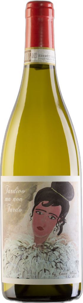 Santa Barbara – Castelli di Jesi Verdicchio Riserva DOCG Classico “Tardivo ma non tardo” 2023