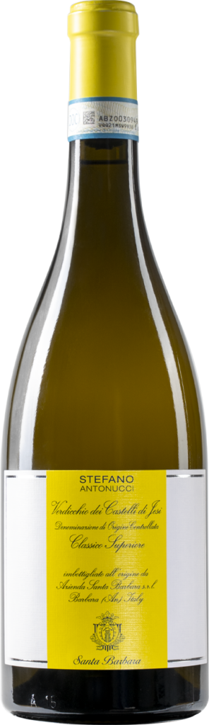 Verdicchio dei Castelli di Jesi DOC Classico "Stefano Antonucci" 2021