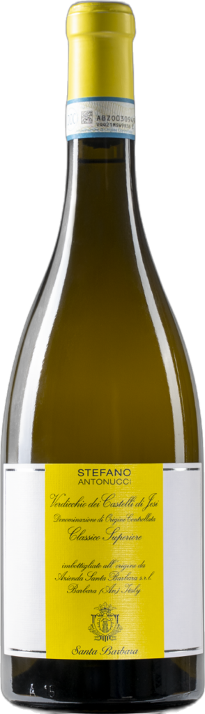 Verdicchio dei Castelli di Jesi DOC Classico Superiore “Stefano Antonucci” 2023