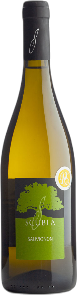 Scubla – Friuli Colli Orientali DOC Sauvignon “RS” 2024