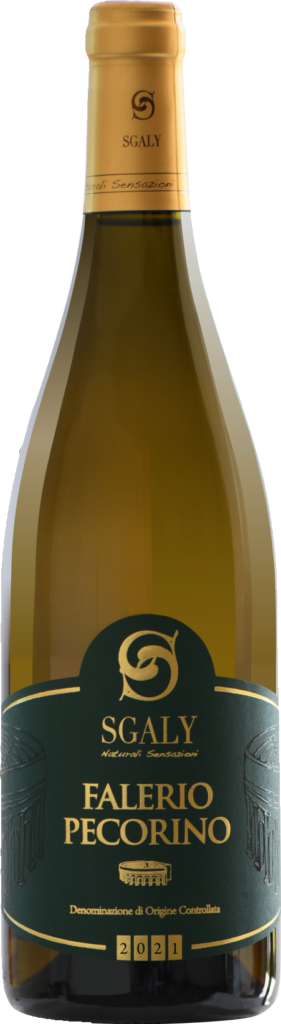 Sgaly falerio pecorino doc 2021 foto bottiglia