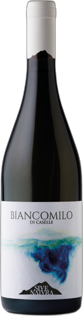 Etna DOC Bianco Superiore Contrada Caselle “Biancomilo di Caselle” 2022
