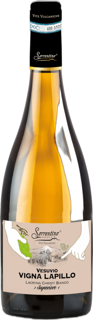 Sorrentino Vesuvio – Vesuvio DOC Lacryma Christi Bianco Superiore “Vigna Lapillo” 2023