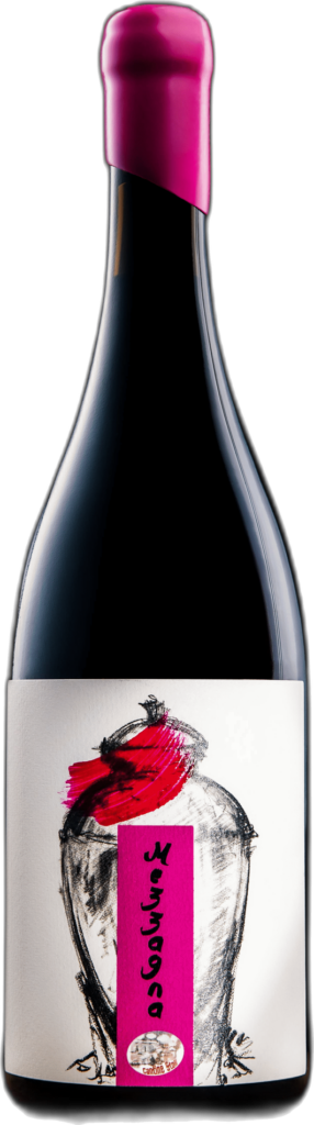 Stoli locride igt rosato mezzagna 2024