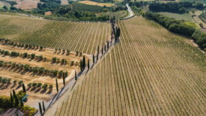 Tenuta Aliotti