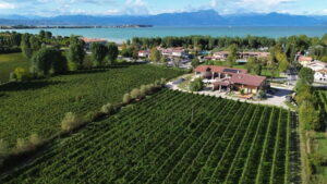 Tenuta Frontelago