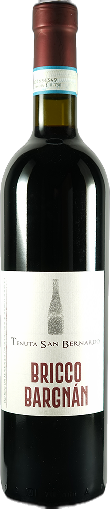 Barbera del Monferrato DOC “Bricco Bargnan” 2023