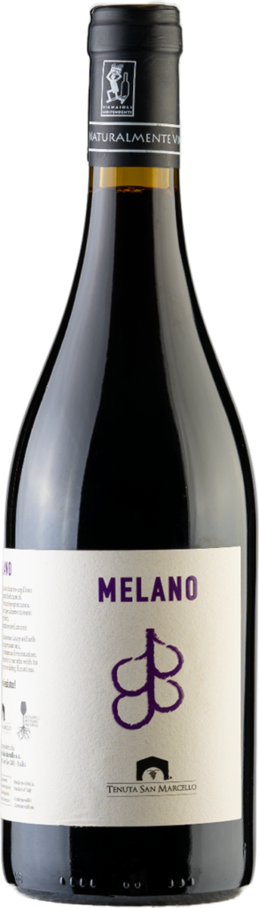 Tenuta San Marcello – Lacrima di Morro d’Alba DOC “Melano” 2022
