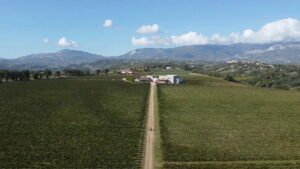 Tenuta Tre Gemme