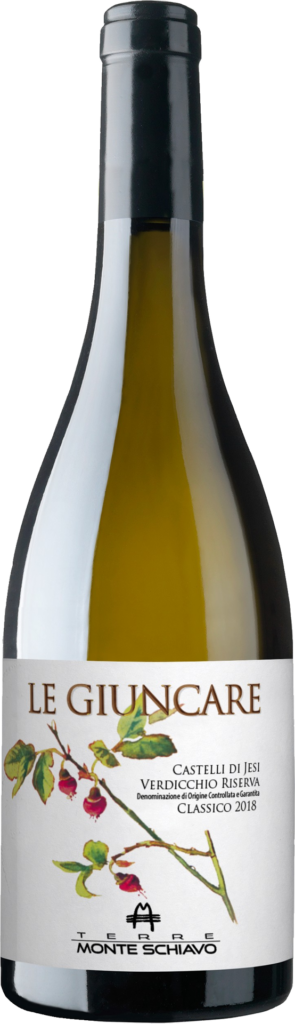 Tenute pieralisi castelli di jesi verdicchio riserva classico docg le giuncare 2021 foto bottiglia