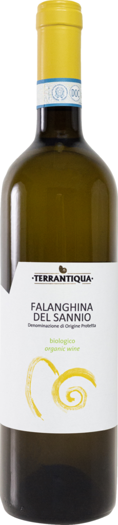 Falanghina del Sannio DOC 2022
