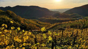 Val De Cune