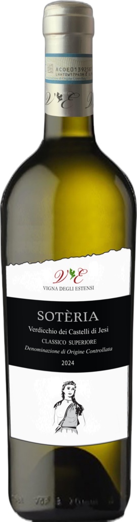 Verdicchio dei Castelli di Jesi DOC Superiore “Soteria” 2024