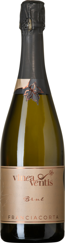 Franciacorta DOCG Brut "Vinea Ventis"