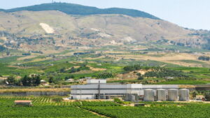 Vini Cassarà