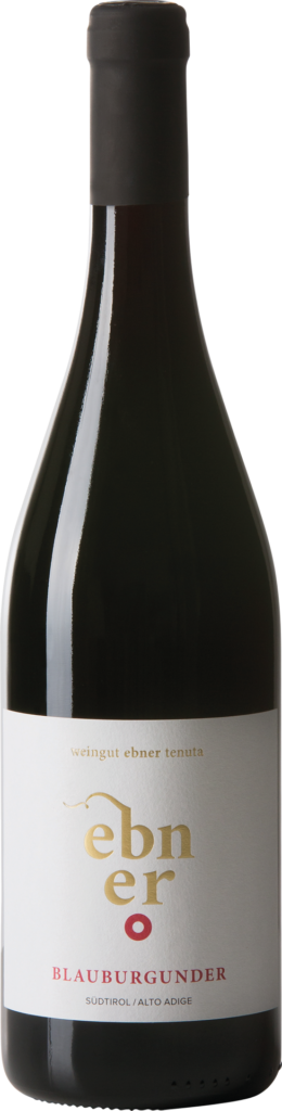 Weingut ebner alto adige pinot nero doc 2019 foto bottiglia