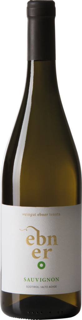 Weingut ebner alto adige sauvignon doc 2022 foto bottiglia